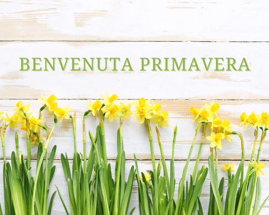 La Primavera è sbocciata: rinnova il tuo corpo e la tua mente! 🌼