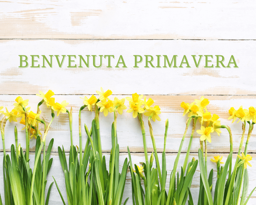 La Primavera è sbocciata: rinnova il tuo corpo e la tua mente! 🌼 - MBS