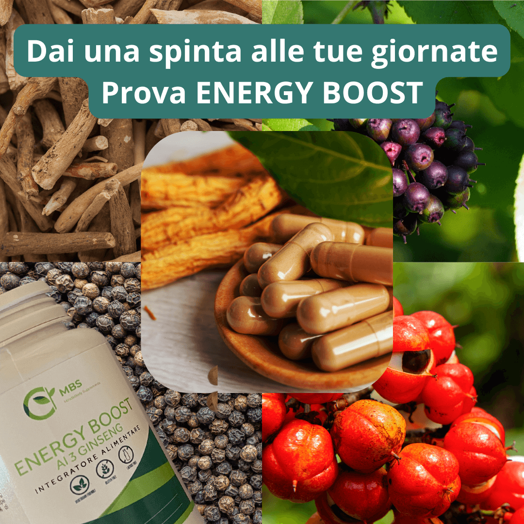 ENERGY BOOST ai 3 ginseng - Il valore degli ingredienti - MBS - Longevity Supplements