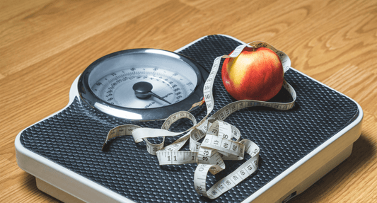 Fegato Grasso: Come Prendersene Cura e Tornare in Forma con il Sorriso! - MBS - Longevity Supplements